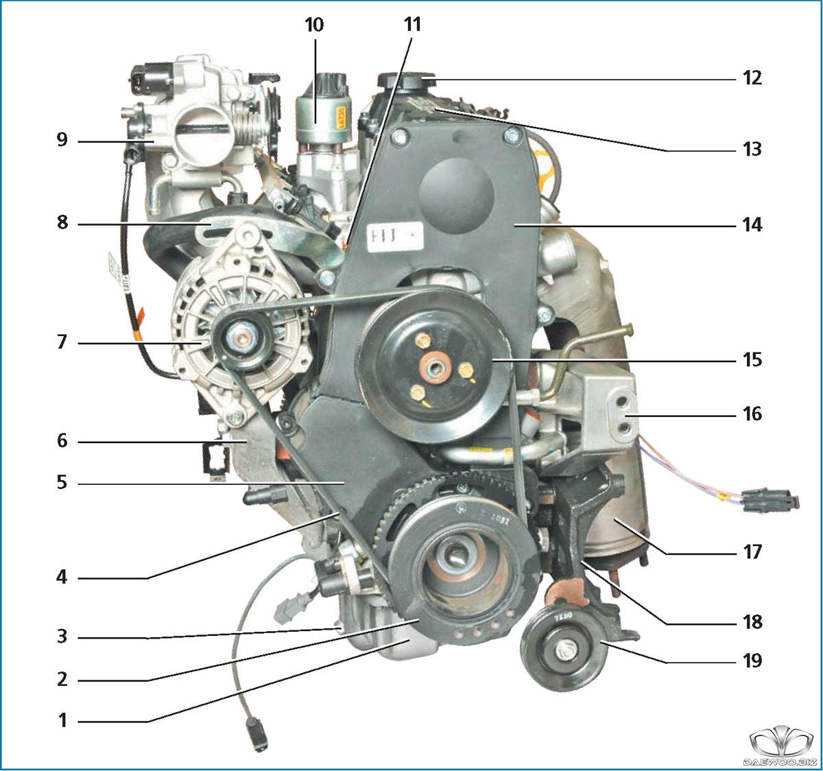 Сколько ремней в двигателе. Двигатель a15sms Шевроле Ланос. Двигатель а15sms Нексия. Daewoo Nexia мотор a15sms. Двигатель Daewoo Nexia 1.5 16 клапанов.