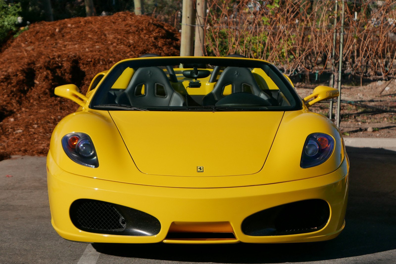 Желтый в реальной жизни. Феррари ф12 желтая. Ferrari 246 желтая. Феррари 428 Италия жёлтый. Ferrari 355 f1 Yellow.