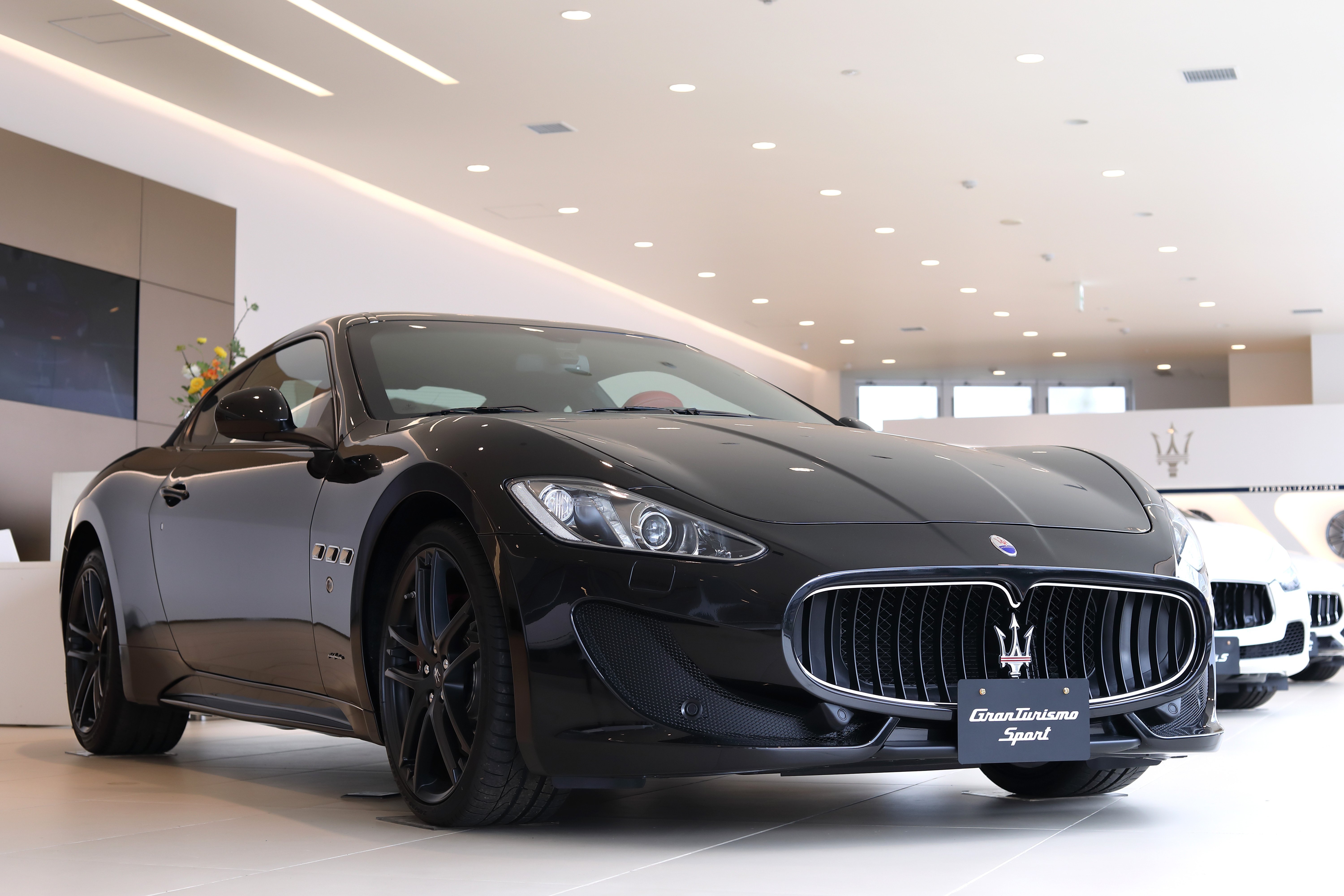 Maserati Facial