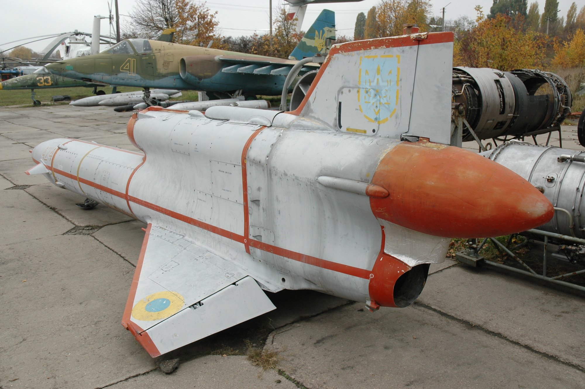 Советские беспилотники. Советский беспилотник ту-143. Беспилотный разведчик ту-143 рейс. БПЛА ту-143 «рейс» (ВР-3). БПЛА ту-243.