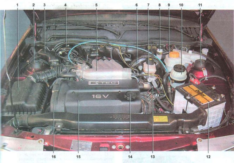 Двигатель a15mf Daewoo Nexia расположение датчиков