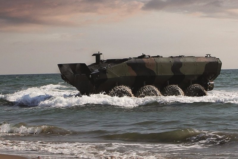 Амфибия aav7