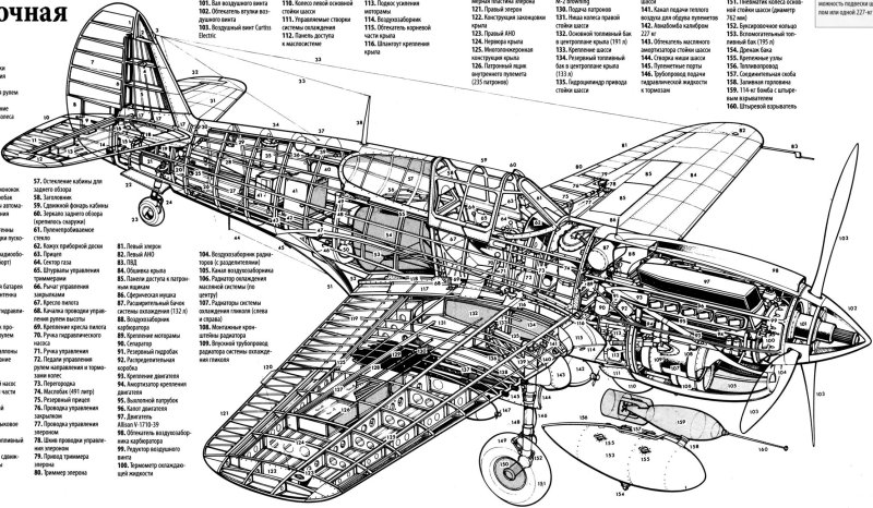 P 40 самолет Компоновочная схема