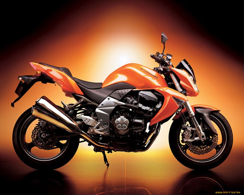 Suzuki TL 1000 Custom