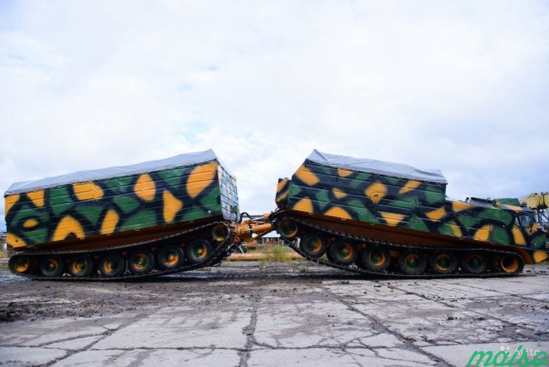Болотоход Витязь ДТ-30п