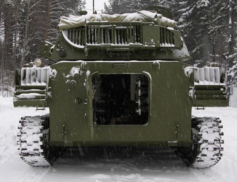 2с34 Хоста внутри