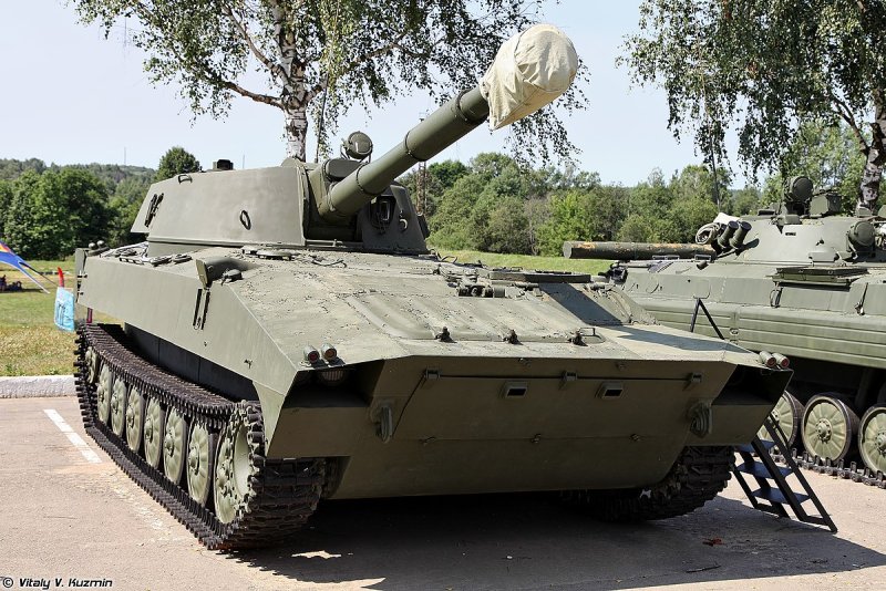 Савушка 2с1