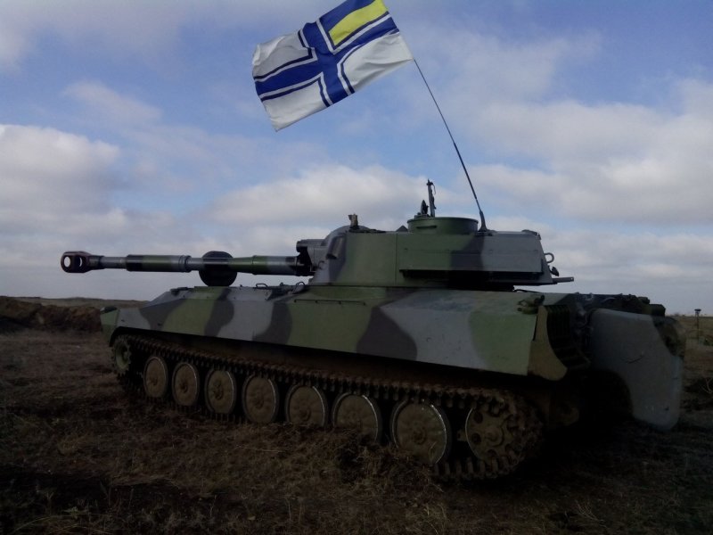 2с1 гвоздика