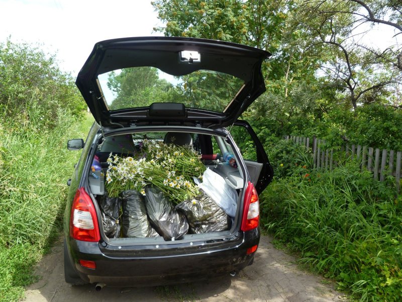 Лада Калина хэтчбек открытый багажник