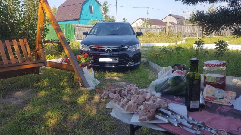Шашлыки на даче