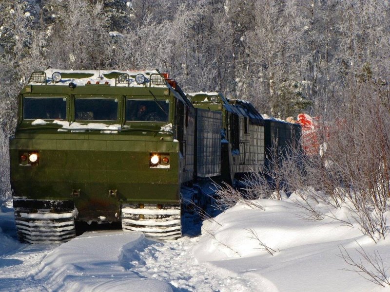 Витязь ДТ-30пм