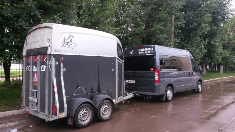 Машина-коневозка Fiat Ducato