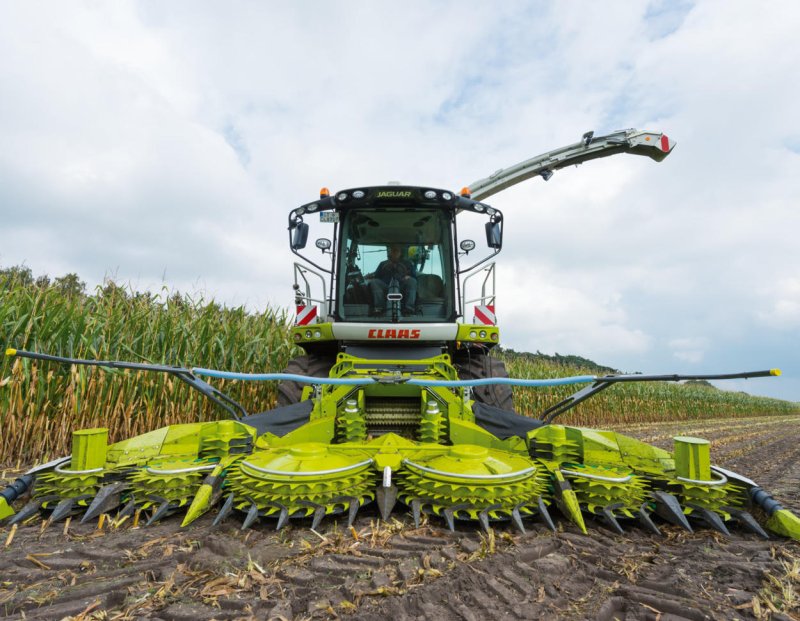 Кукурузная жатка CLAAS Orbis 600