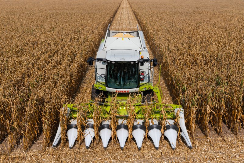 CLAAS уборка кукурузы