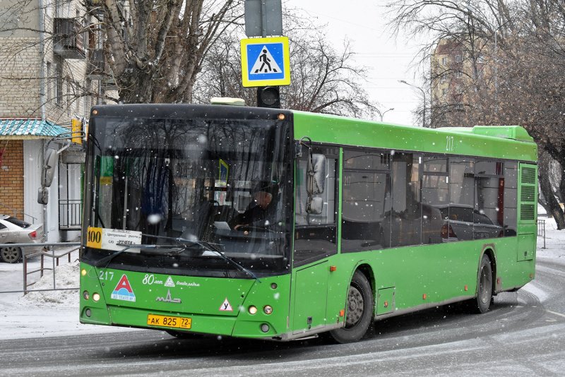 МАЗ 103 1/43