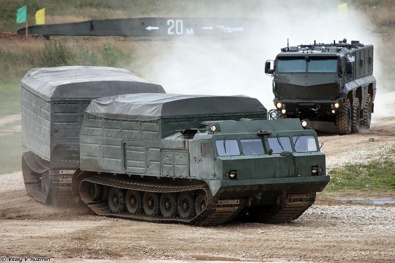 Витязь ДТ-30п