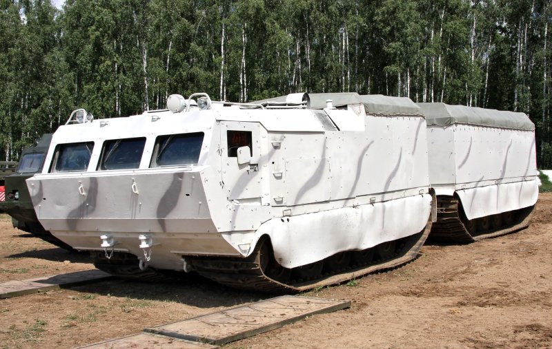 ДТ-10пм Витязь