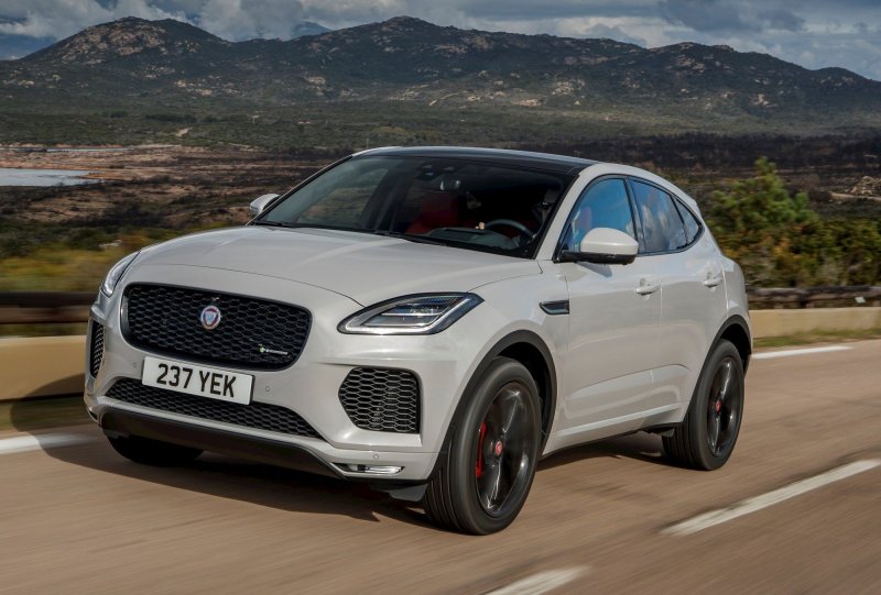 Jaguar e Pace белый