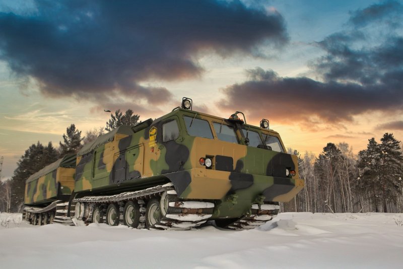 ДТ-10 Витязь