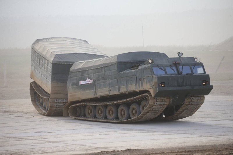 ДТ-10пм Витязь