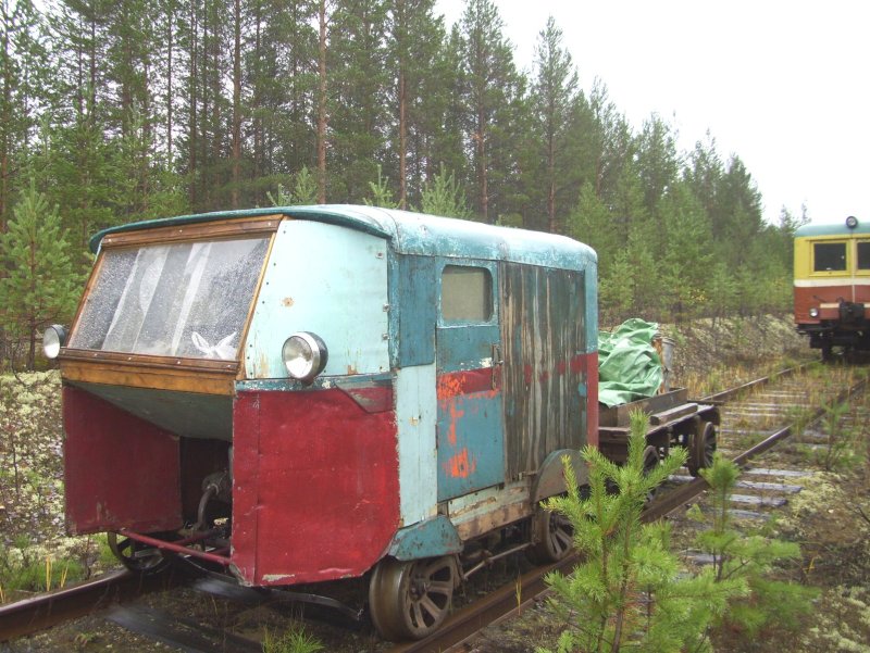 Пионерка узкоколейная