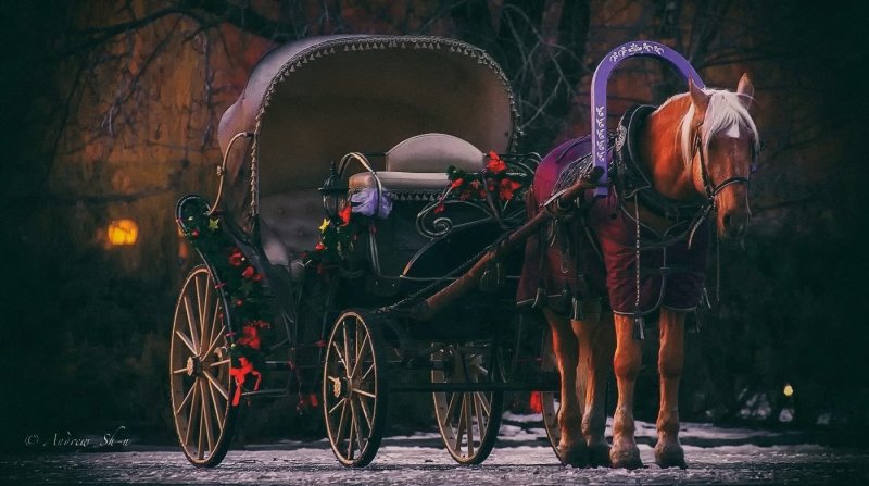 Повозка Кибитка