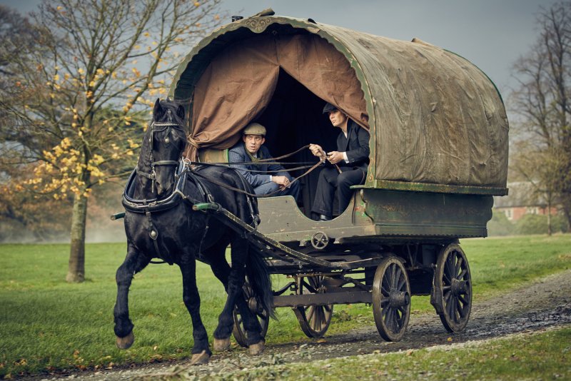 Ирландские цыгане Шелби