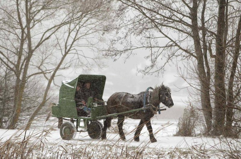 Зимняя повозка с лошадью