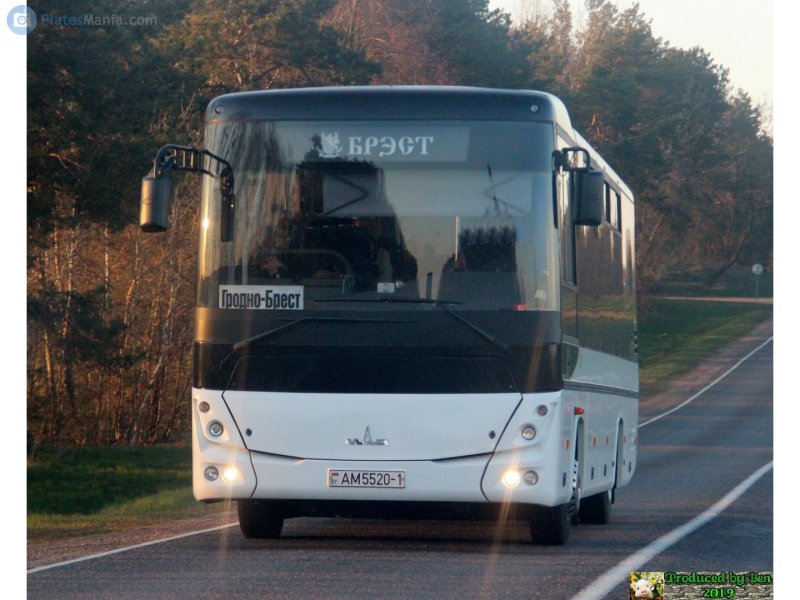 МАЗ 232 сзади
