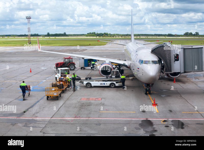 Боинг 737 800 Аэрофлот Новосибирск аэропорт Толмачево