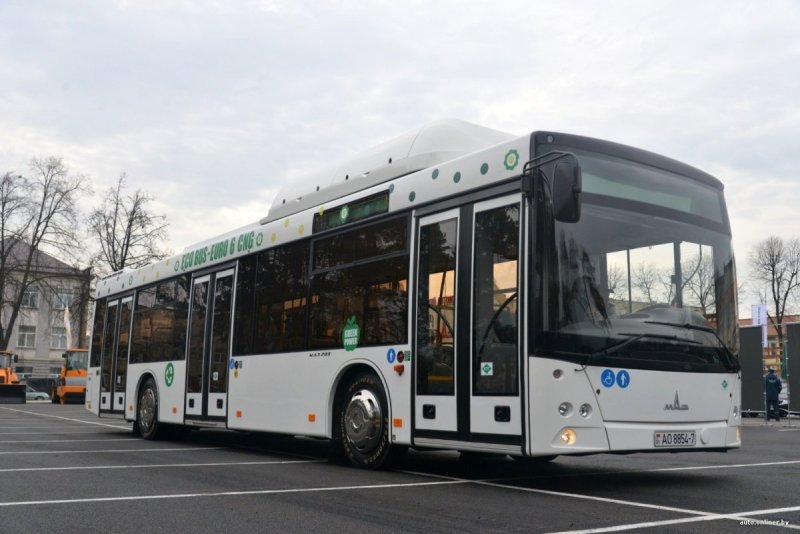 Автобус МАЗ 103