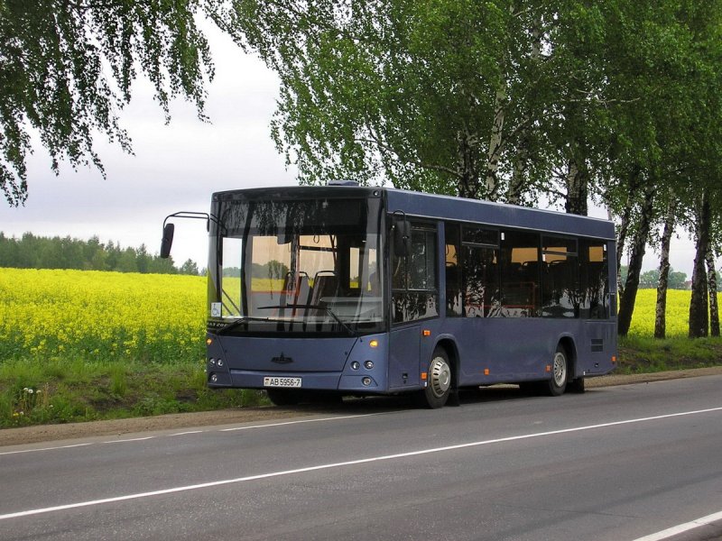 МАЗ 206 жёлтый