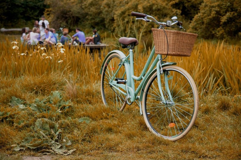 Городской велосипед Incognito Bicycle Cavendish