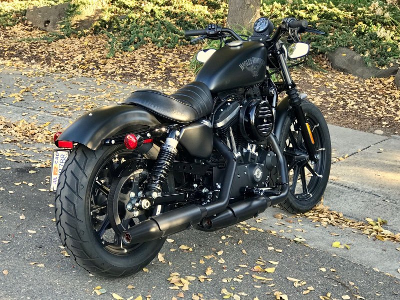 Harley Davidson Sportster 883 Iron