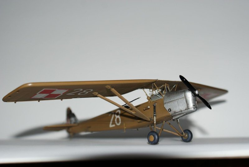 PWS-10 1/72