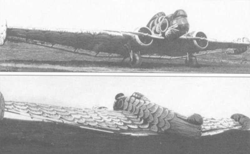 Бомбардировщик к-12 "Калинин" ("Жар-птица")