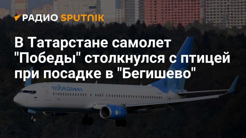 Самолет Бегишево Сочи прямой рейс