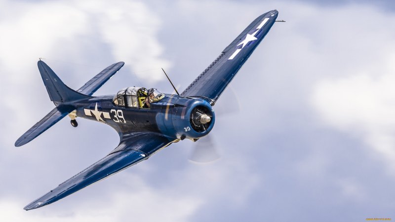 Douglas SBD Airplane