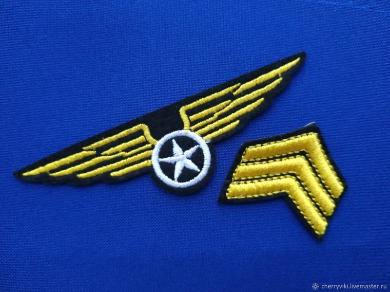 Нашивка пилота с крыльями