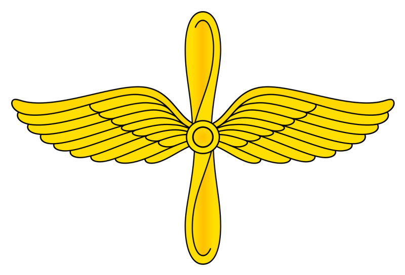 Знак ВВС РФ