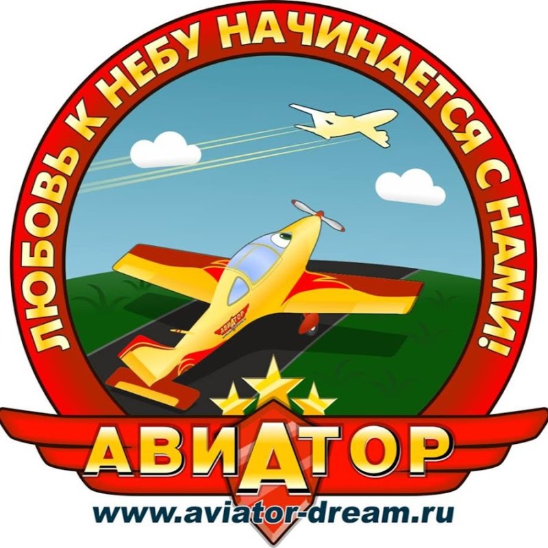Эмблема летчиков для детей