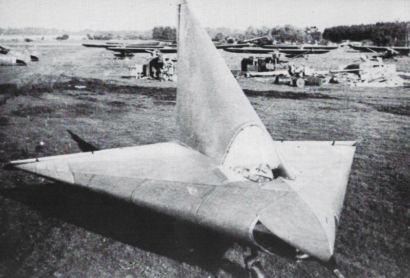Планер DM-1