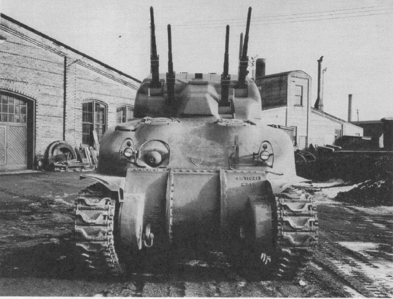 Скинк ЗСУ