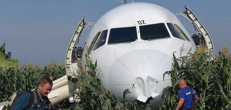Самолет на кукурузном поле авария