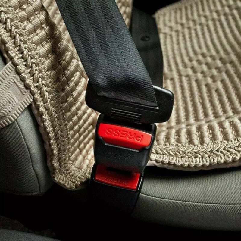 Seat Belt