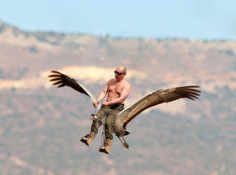 Путин вожак Стерхов