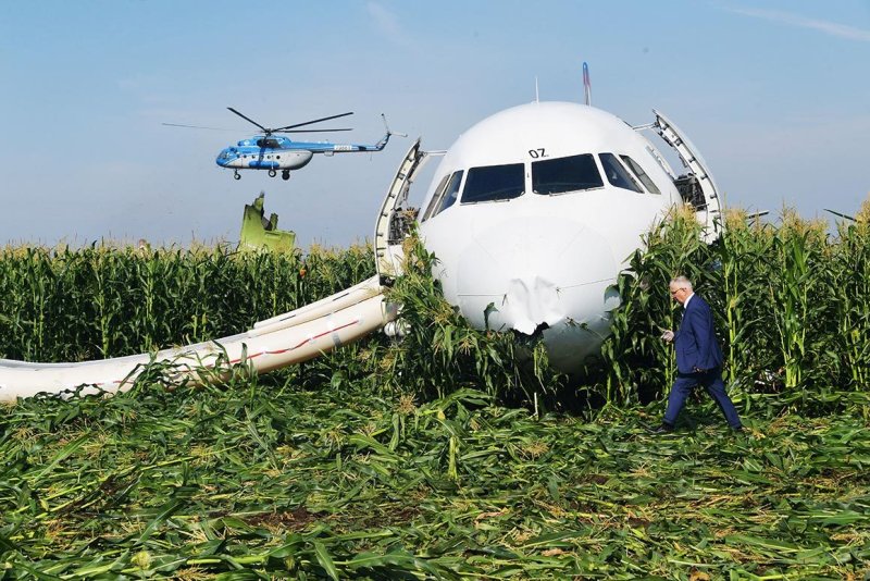 Посадка на кукурузное поле а 321