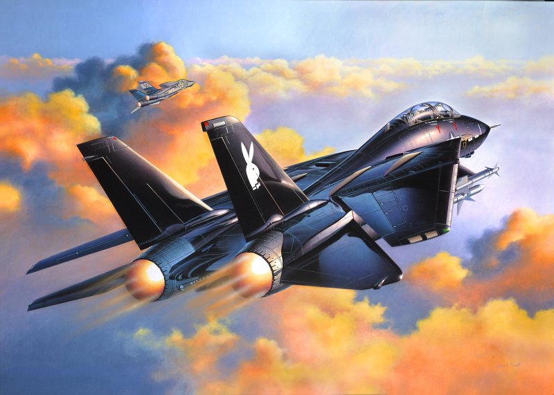 Ф-14 Томкэт
