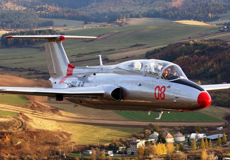 Л-29 Дельфин