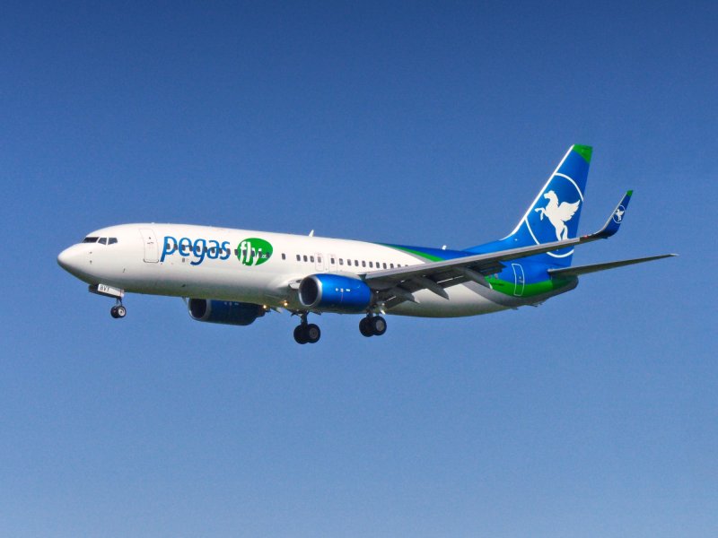 Pegas Fly logo